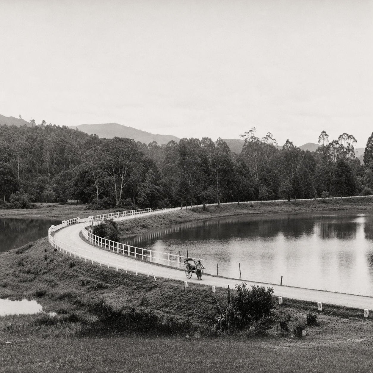 Gregory Lake